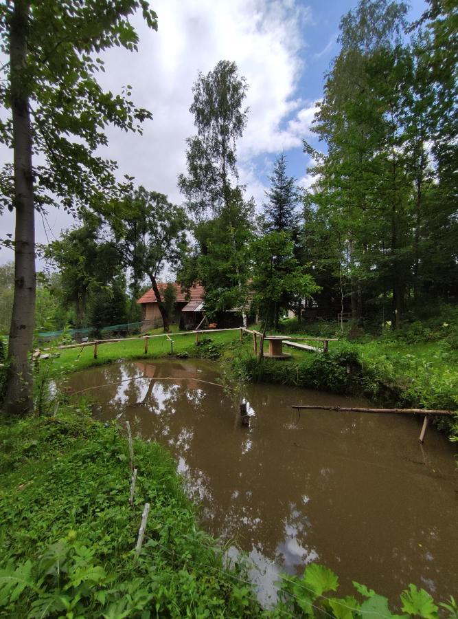 Agroturystyka Zielona Dolinka Stryszow Exterior photo